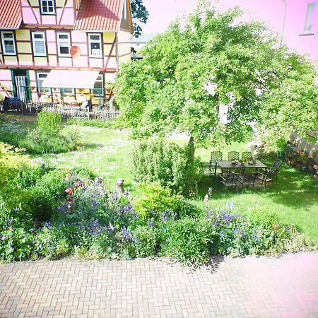 Zur Traube * Blankenburg (Harz)