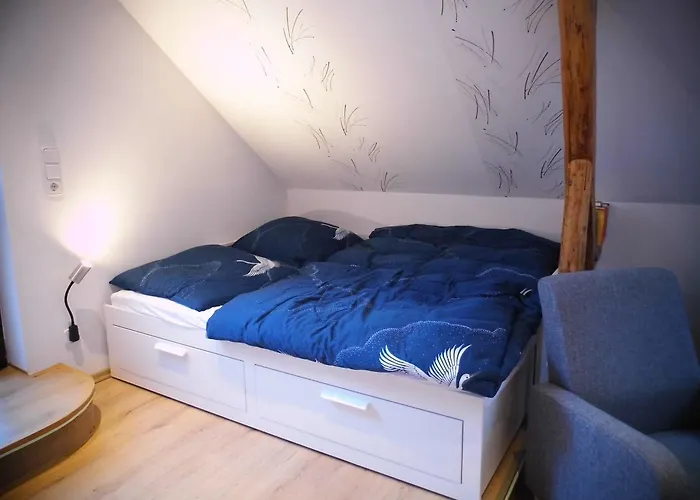 Zur Traube Blankenburg (Harz)